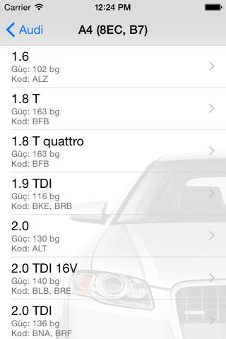 VAG service - Audi, Porsche, Seat, Skoda, VW. screenshot 3