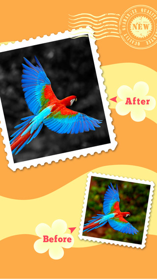 【免費書籍App】Color Magic - Insta Photo Splash Effects &Recolor Camera, Pic PS Editor-APP點子