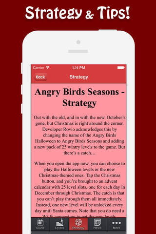 Guide for Angry Birds Seasons! screenshot 4