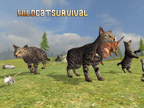 Wild Cat Survival на iPad