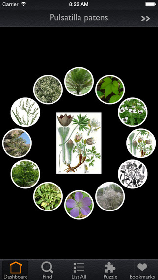 免費下載健康APP|Medicinal Plants Encyclopedia Pro app開箱文|APP開箱王