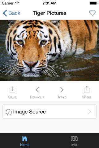 Tiger Pictures screenshot 3