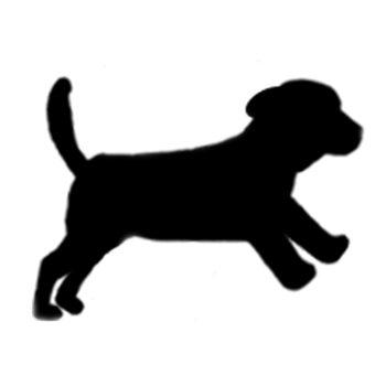 Doggie Dash Pro 遊戲 App LOGO-APP開箱王