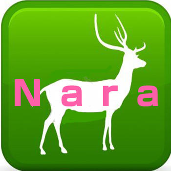 NaraMapNavigator LOGO-APP點子