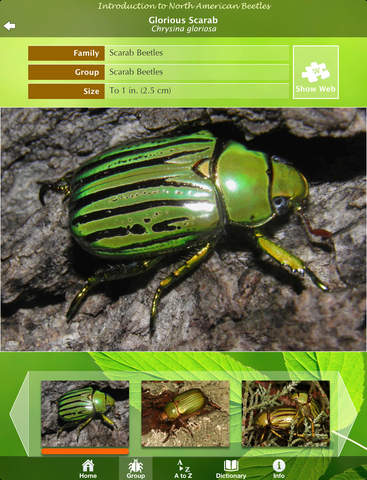 免費下載教育APP|Beetles - An Introduction to North American Species app開箱文|APP開箱王