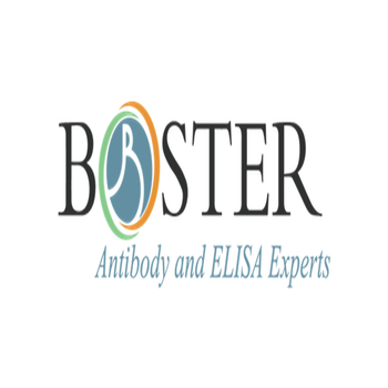 Boster LOGO-APP點子