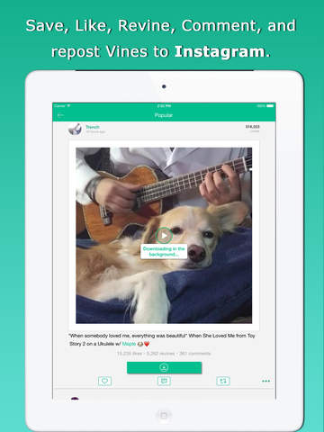 【免費攝影App】GrabVine - Video Downloader for Vine-APP點子