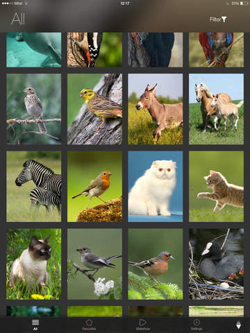 免費下載教育APP|Animal Explorer: Sounds and Photos app開箱文|APP開箱王