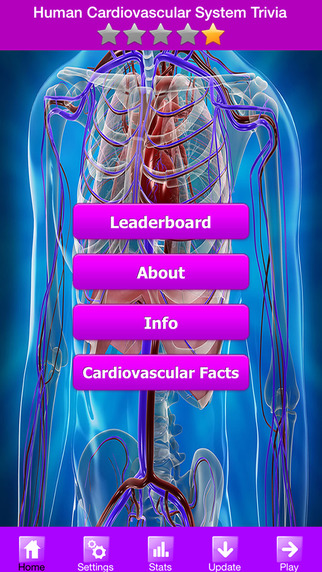 Human Cardiovascular System Trivia Game