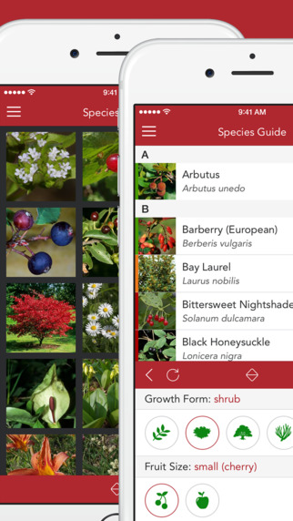 【免費書籍App】Wild Berries and Herbs 2 LITE - The Field Guide by NATURE MOBILE-APP點子