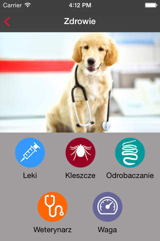 Modern Pet screenshot 4