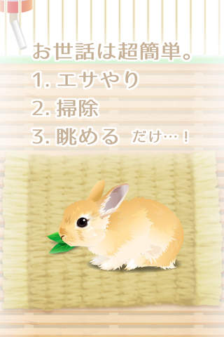 Virtual Therapeutic Rabbit Pet screenshot 2