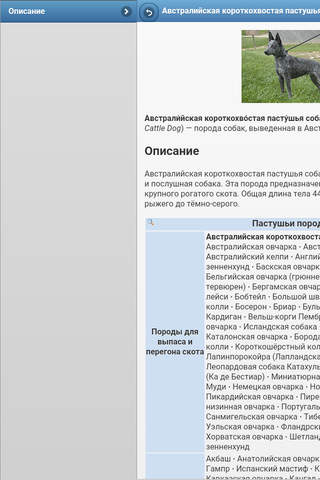 Directory of dog breeds screenshot 3