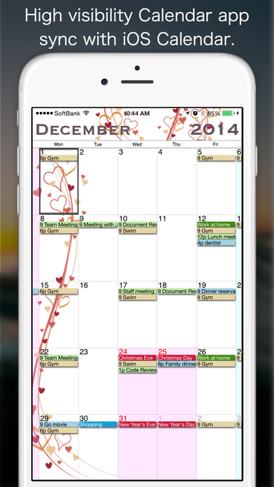 iPhone Screenshot 1