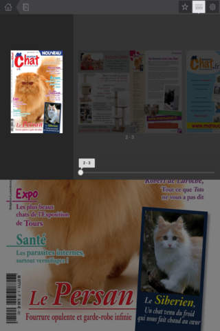 Matou Chat screenshot 3