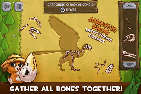 Jurassic Birds - Discovering Fossils Prof screenshot 2