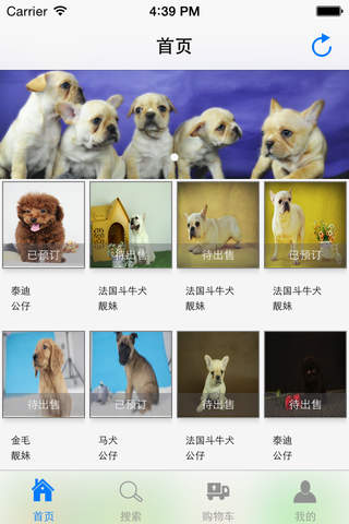 搜狗狗 screenshot 2