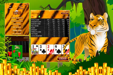 Tiger Poker Temple - Video Poker screenshot 4