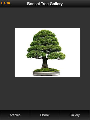 【免費生活App】Bonsai Tree Guide - Everything You Need To Know Bonsai Tree !-APP點子