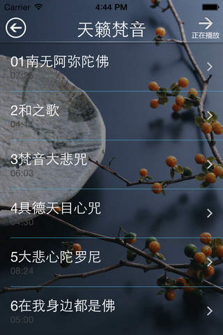 天籁梵音(合集) screenshot 2