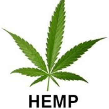 Hemp App LOGO-APP點子