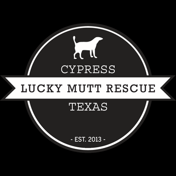 Cypress Lucky Mutt Rescue LOGO-APP點子