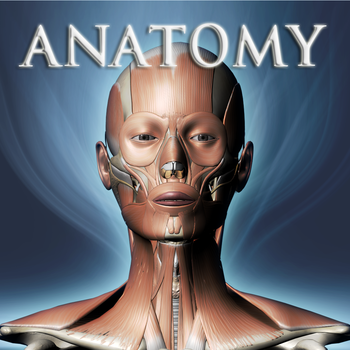 DS ANATOMY HEAD & NECK MUSCULOSKELETAL SYSTEM LOGO-APP點子