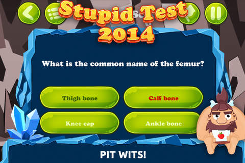 Stupid Test 2014 FREE screenshot 2