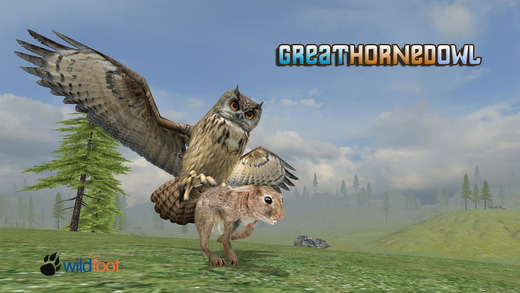 Horned Owl Simulator