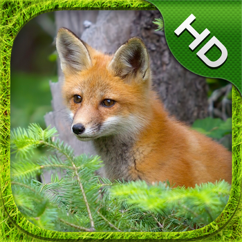 Fox Simulator - HD LOGO-APP點子