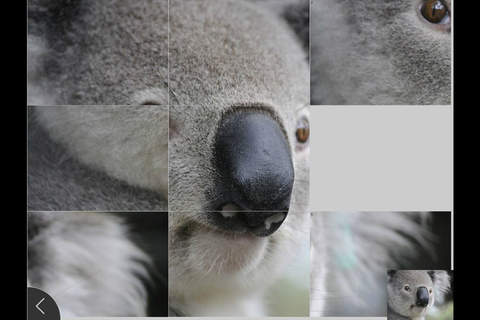 Animals 2 - Jigsaw and Sliding Puzzles screenshot 3