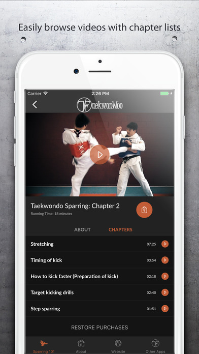 Taekwondo Sparring 101 screenshot 2