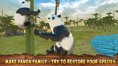 Panda Bear Simulator 3D screenshot 4