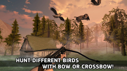 Archery Birds Hunting Master Simulator 3D screenshot 2