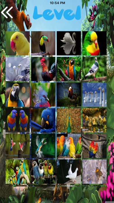 Amazing Birds Puzzles screenshot 3