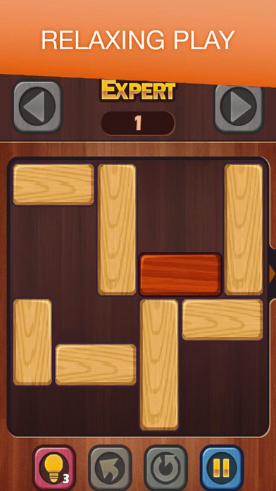 Unblock Challenge - Brain Game screenshot 3