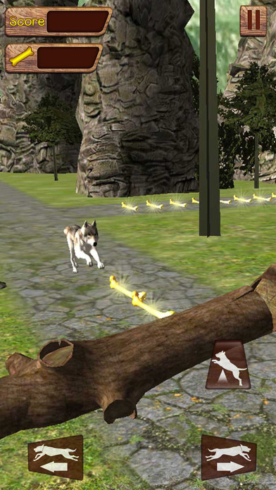Crazy Dog Run Adventure screenshot 4