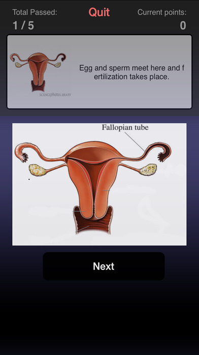 Pregnancy Care Center screenshot 4