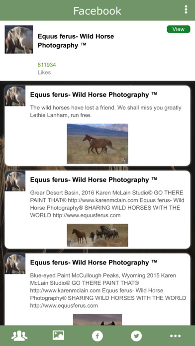 Equus ferus Photography screenshot 2