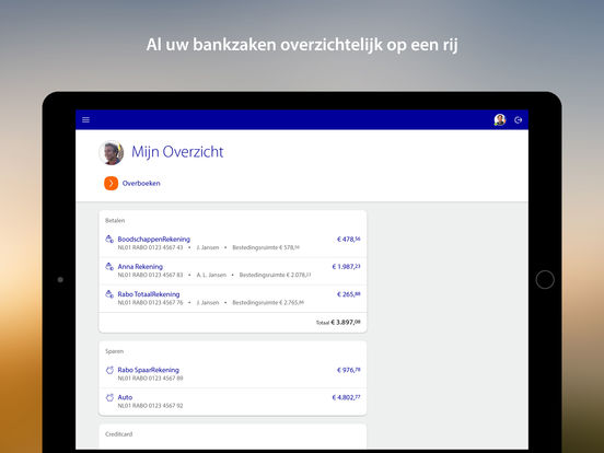 iPad Screenshot 1