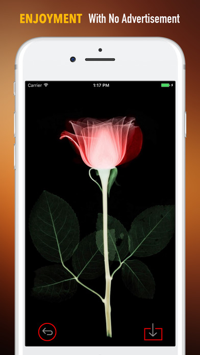 Floral X Ray Wallpapers HD-Quotes and Art Pictures screenshot 2