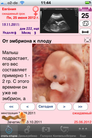 Pregnant Dad screenshot 2