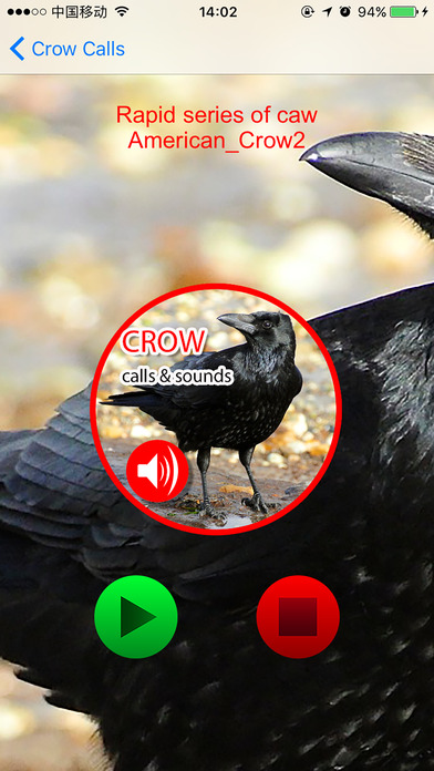 Crow Hunting Calls & Sounds - Real Sounds screenshot 3
