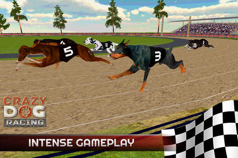 Crazy Dog Racing -Dog Games screenshot 2