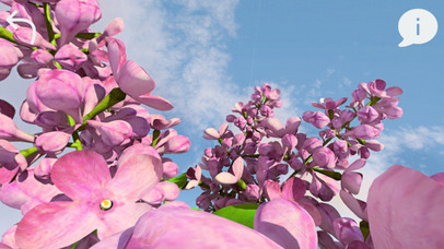 AR Floral screenshot 4