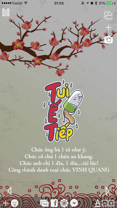 Happy New Year - Tết Xuân Đinh Dậu 2017 - Sticker screenshot 3