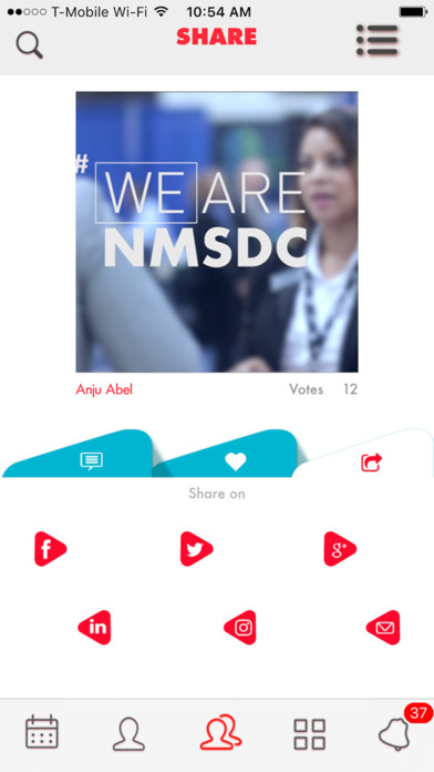 We are NMSDC screenshot 3