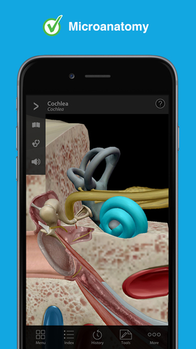 Human Anatomy Atlas - 3D Anatomical Model Body screenshot 2