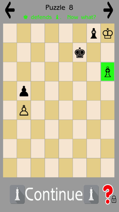 Endgame Chess Puzzles.  Checkmate!! screenshot 2