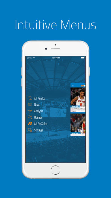 NY Basketball screenshot 2